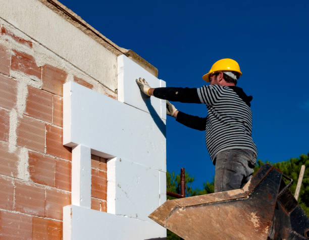 Best Insulation Replacement Services  in Aspermont, TX