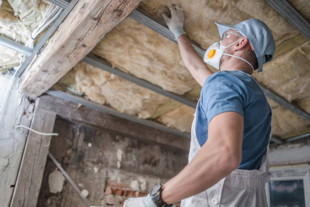 Best Insulation for Commercial Buildings  in Aspermont, TX