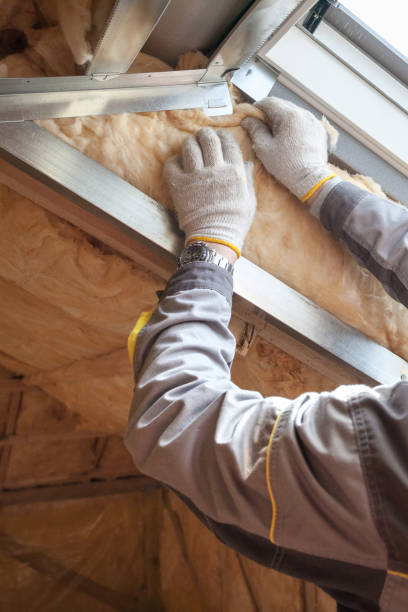 Best Insulation Replacement Services  in Aspermont, TX