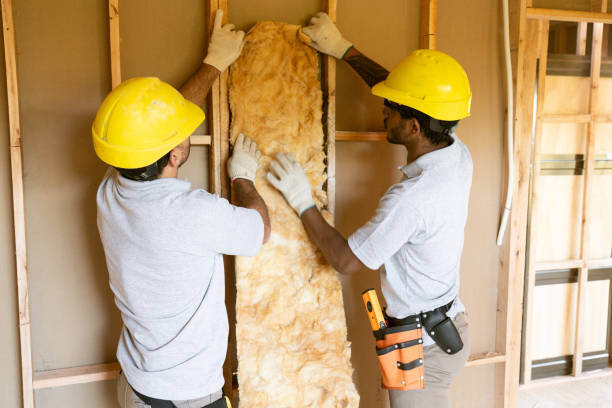 Best Soundproof Insulation Installation  in Aspermont, TX