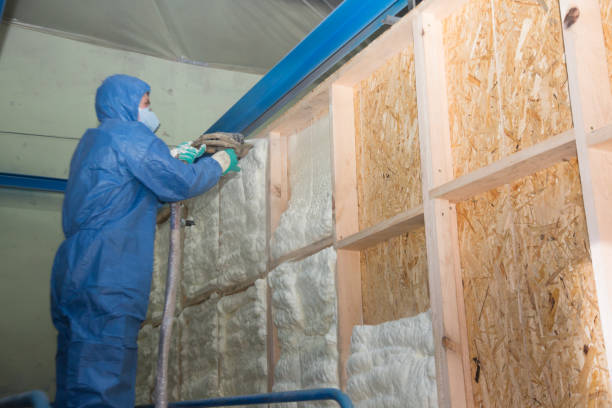 Best Attic Insulation Installation  in Aspermont, TX